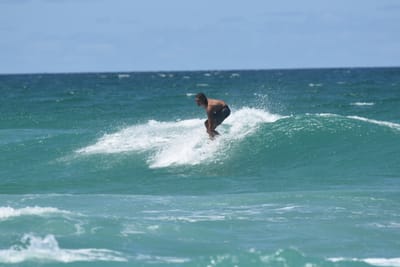 DSC_3503.JPG
