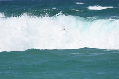 DSC_3541.JPG