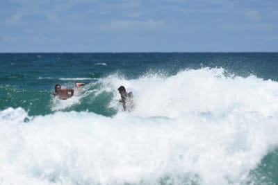 DSC_3542.JPG