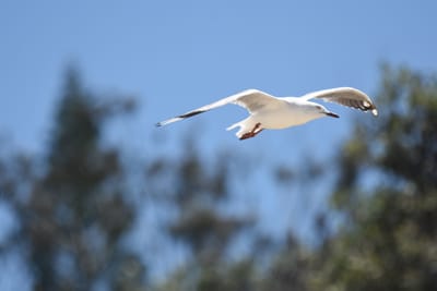 DSC_3646.JPG