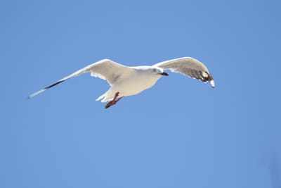 DSC_3648.JPG