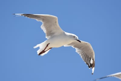 DSC_3649.JPG