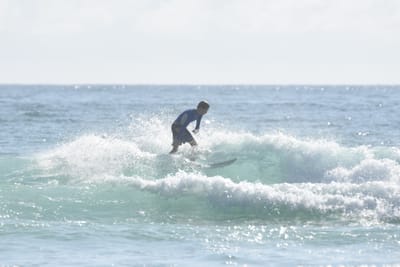 DSC_3680.JPG