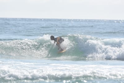 DSC_3779.JPG