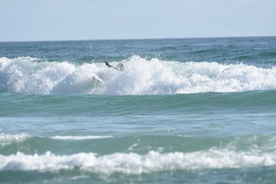 DSC_3795.JPG