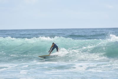 DSC_3811.JPG