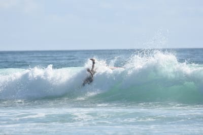 DSC_3820.JPG