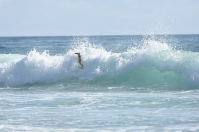 DSC_3821.JPG