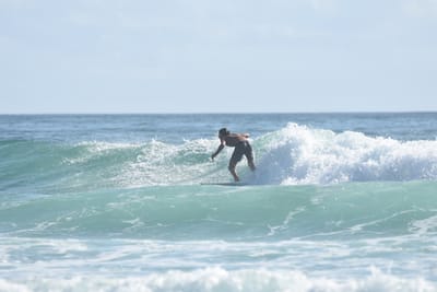 DSC_3834.JPG