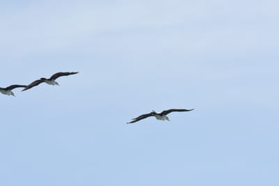 DSC_3851.JPG