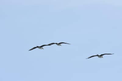 DSC_3852.JPG