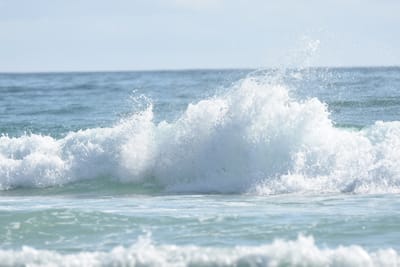 DSC_3883.JPG