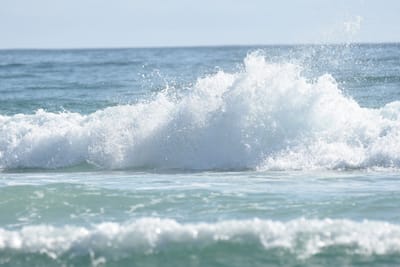 DSC_3884.JPG