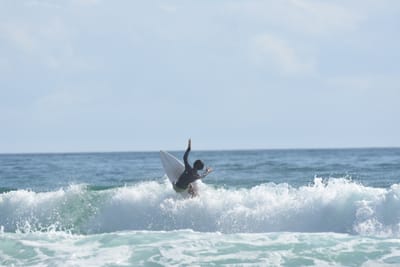 DSC_3904.JPG