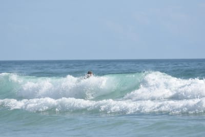 DSC_3923.JPG