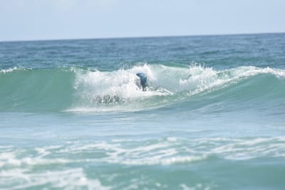 DSC_3937.JPG