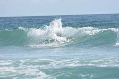DSC_3938.JPG