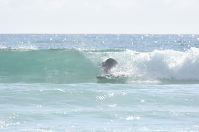 DSC_3944.JPG