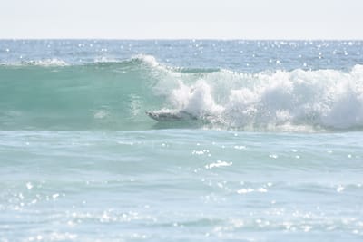 DSC_3945.JPG