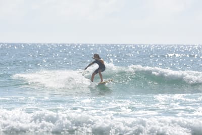 DSC_3965.JPG