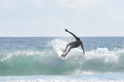 DSC_3979.JPG
