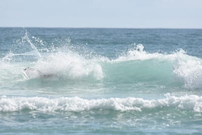 DSC_4155.JPG