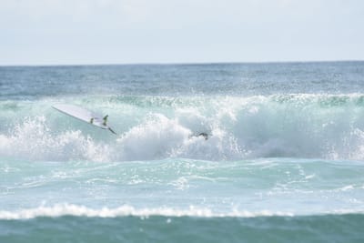DSC_4171.JPG