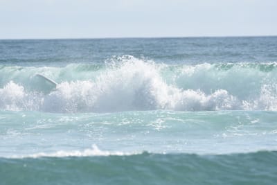 DSC_4172.JPG