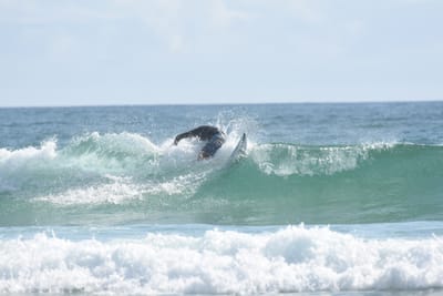 DSC_4176.JPG