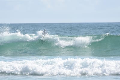 DSC_4178.JPG