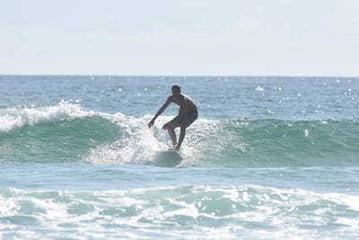 DSC_4179.JPG