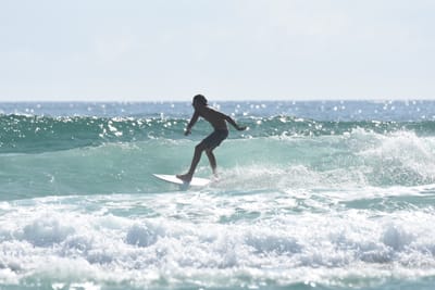 DSC_4204.JPG