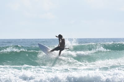 DSC_4209.JPG