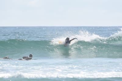 DSC_4226.JPG