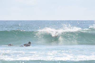 DSC_4227.JPG