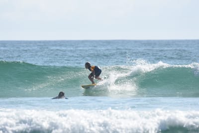 DSC_4231.JPG