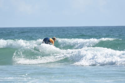 DSC_4273.JPG