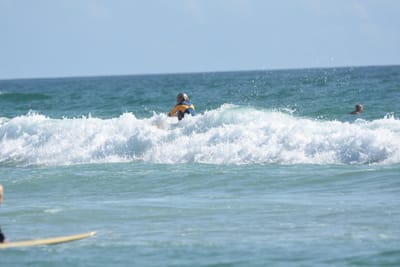 DSC_4291.JPG
