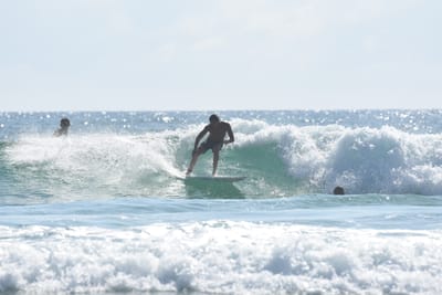 DSC_4299.JPG