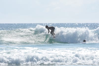 DSC_4302.JPG