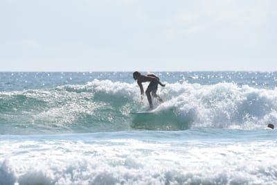 DSC_4303.JPG