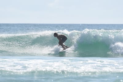 DSC_4317.JPG