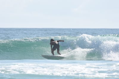 DSC_4320.JPG