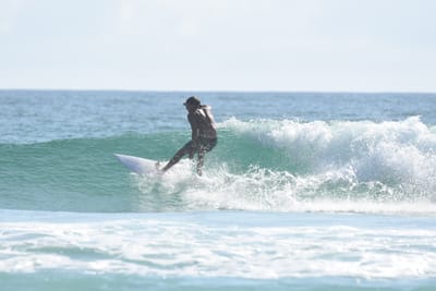 DSC_4323.JPG