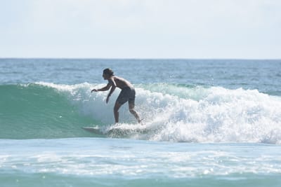 DSC_4329.JPG