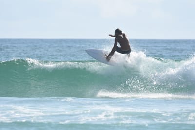 DSC_4331.JPG