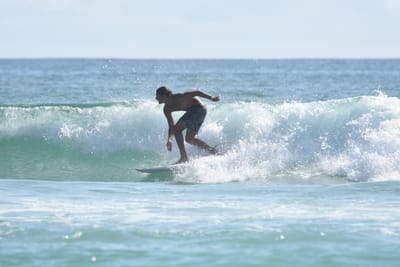 DSC_4336.JPG
