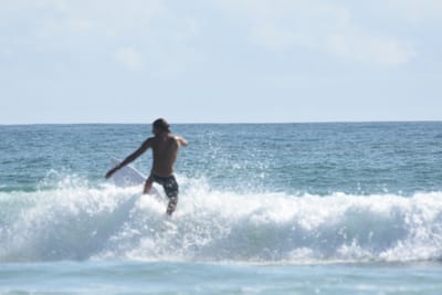 DSC_4340.JPG