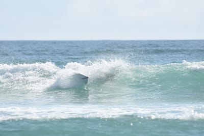 DSC_4361.JPG
