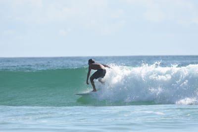 DSC_4369.JPG
